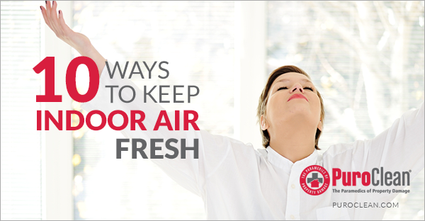 10 Ways to Keep Indoor Air Fresh