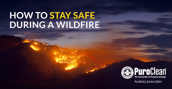 How to Stay Safe During a Wildfire