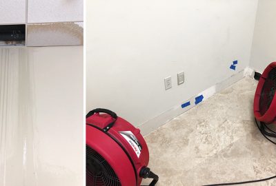 Wet Drywall with Mold