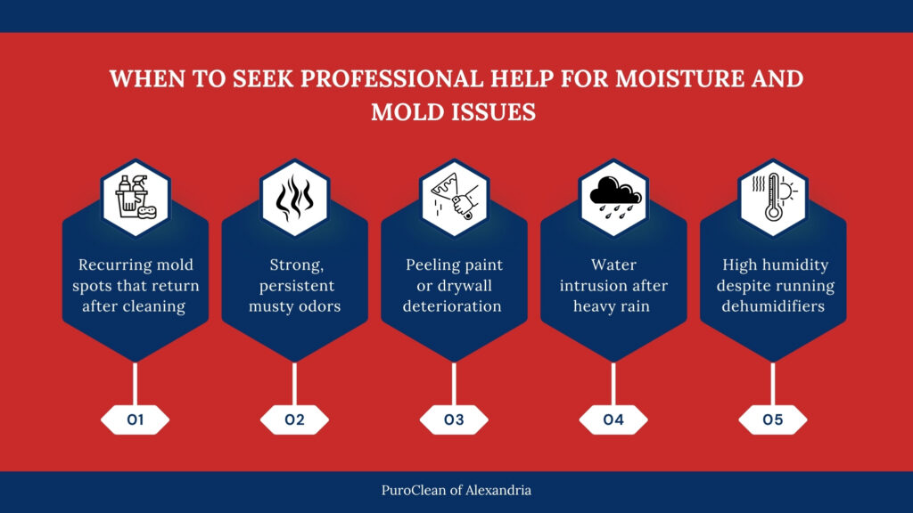Professional help for moisture and mold issues