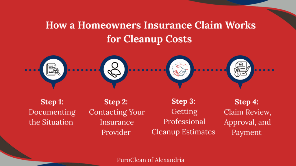 Infographic explaining how a homeowners insurance claim works for cleanup costs, showing four steps: documenting the situation, contacting your insurance provider, getting professional cleanup estimates, and claim review, approval, and payment.