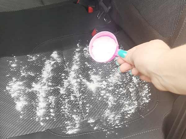 MOLD in CAR