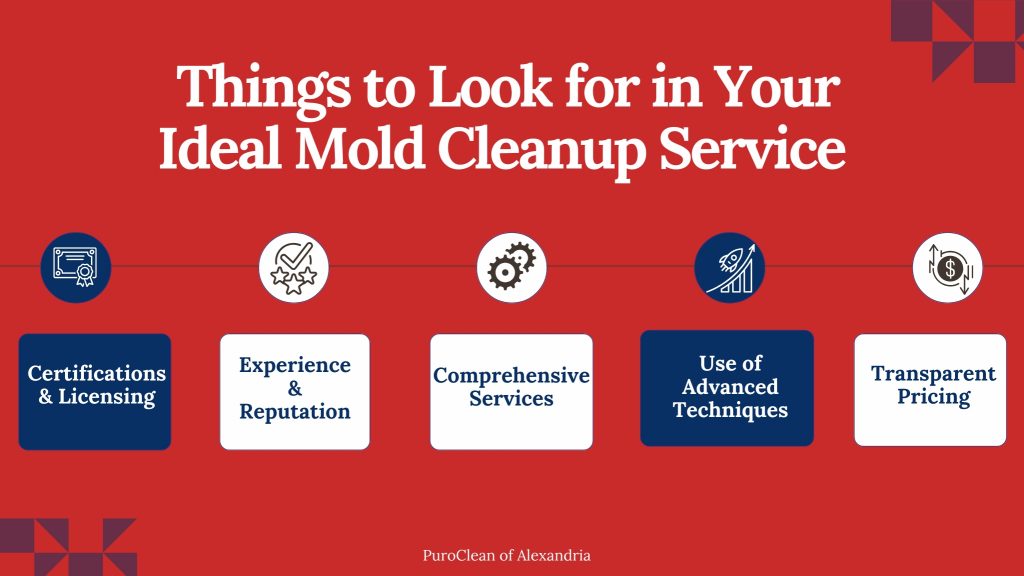 Mold Cleanup Services