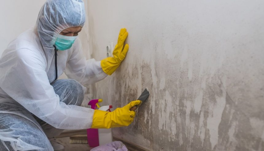 mold testing in Alexandria