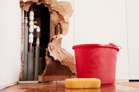 Water Clean in Alexandria