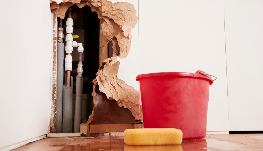 Water Clean in Alexandria