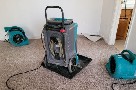 Water Damage Experts