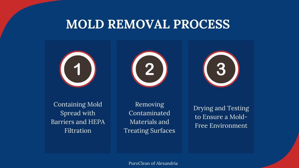 mold removal process