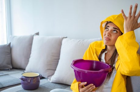 roof leak water damage Alexandria