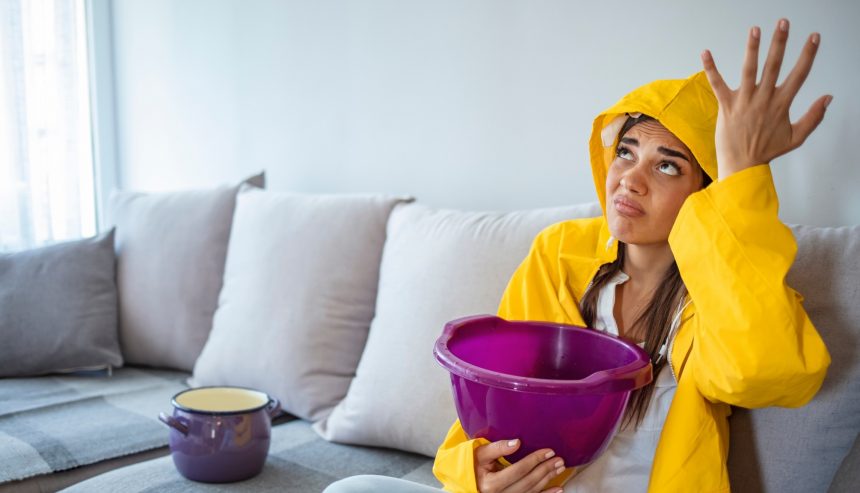 roof leak water damage Alexandria