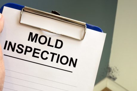 professional mold testing Alexandria