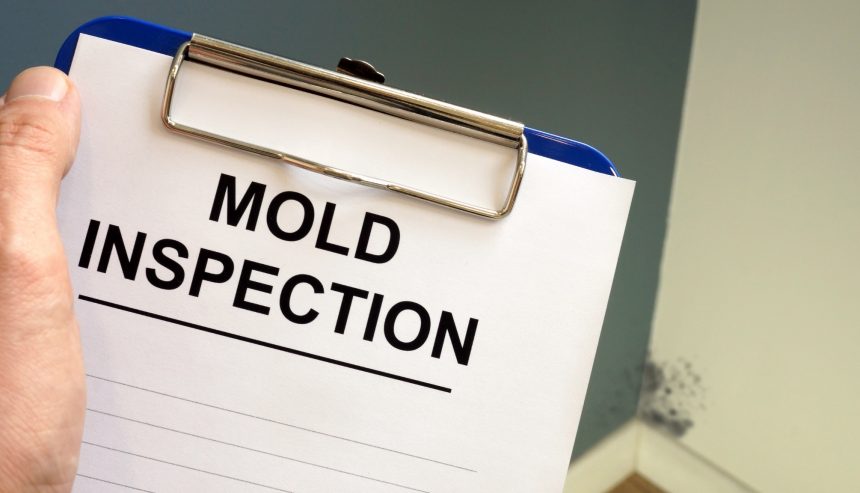 professional mold testing Alexandria