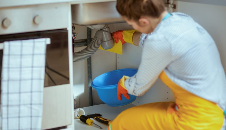 DIY water damage cleanup Alexandria