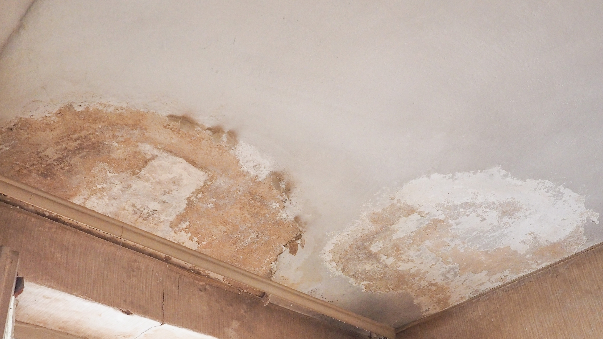 How Moisture Control Prevents Mold Growth in Alexandria Homes