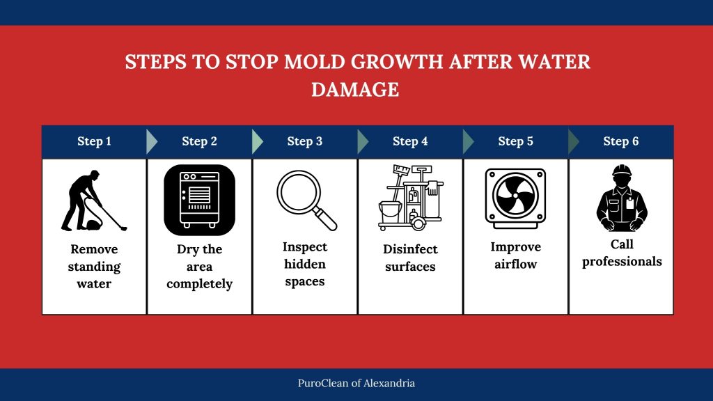 Alexandria infographic showing six steps to stop mold growth after water damage, including removing water, drying the area, inspecting hidden spaces, disinfecting, improving airflow, and calling professionals.