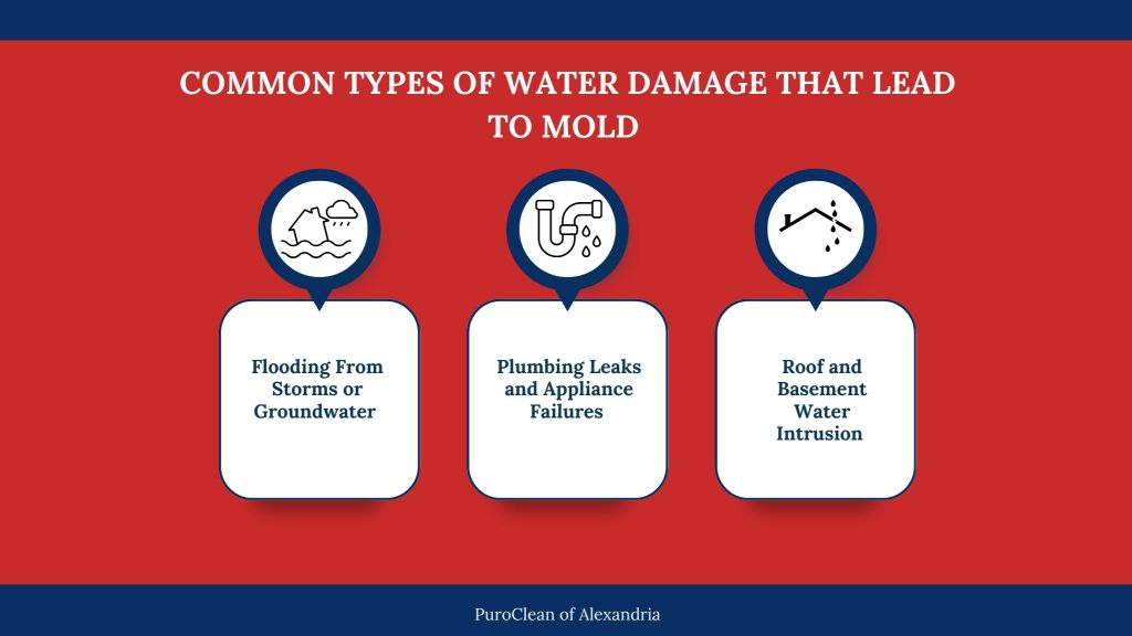 Infographic showing common types of water damage that lead to mold, including flooding, plumbing leaks, and roof or basement water intrusion
