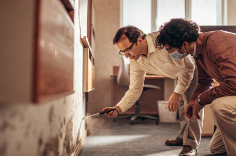 Professionals inspecting a wall for early signs of mold