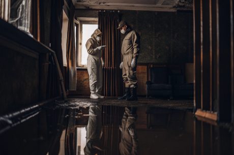 Professionals wearing protective gear inspecting water damage and potential mold growth inside a flooded home