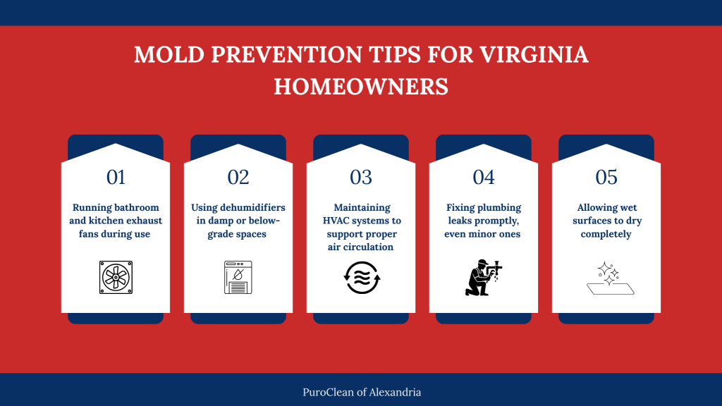 Infographic presenting mold prevention tips for Virginia homeowners, including using exhaust fans, dehumidifiers in damp areas, maintaining HVAC airflow, fixing plumbing leaks promptly, and allowing wet surfaces to dry completely