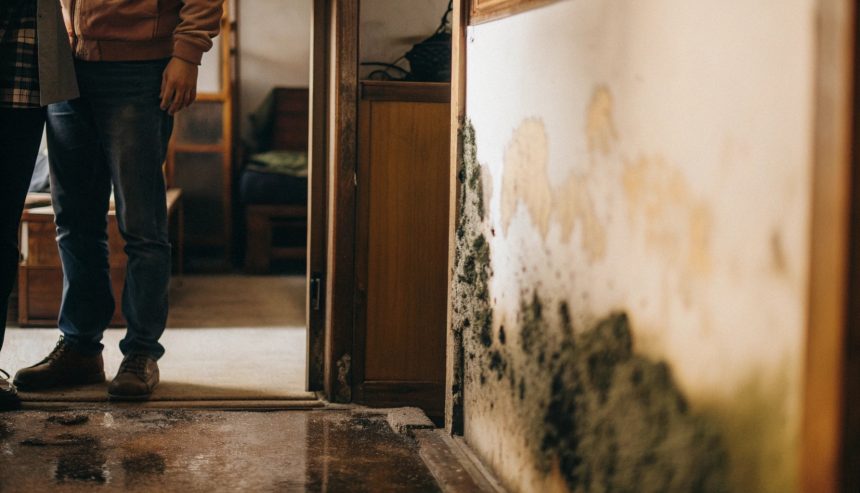 Mold growth on interior wall caused by excess indoor humidity