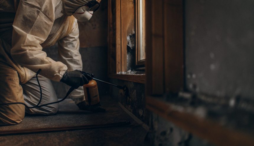 Technician performing mold remediation inside a home, spraying treatment during the mold removal process