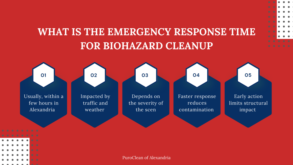 Infographic explaining emergency response time for 24 hour biohazard cleanup in Alexandria VA and why quick action helps reduce contamination and damage.