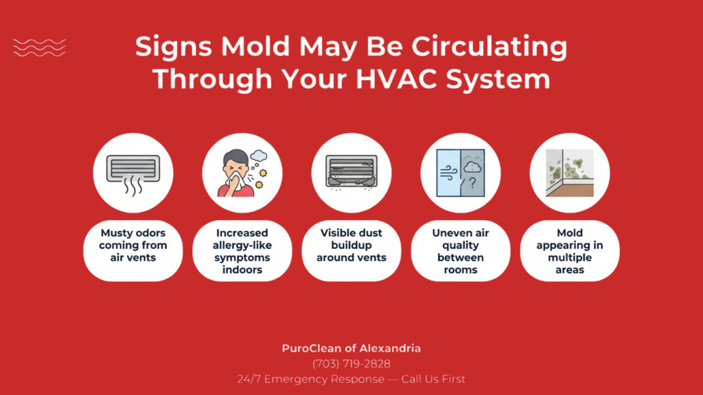Infographic showing immediate steps after fire damage and signs of HVAC mold circulation in Alexandria VA, including occupant safety, avoiding entry, shutting off utilities, musty vent odors, allergy symptoms, and visible dust or mold