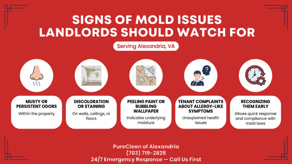 Infographic showing signs of mold issues landlords should watch for in Alexandria rental properties, including odors, staining, peeling paint, and tenant health complaints.