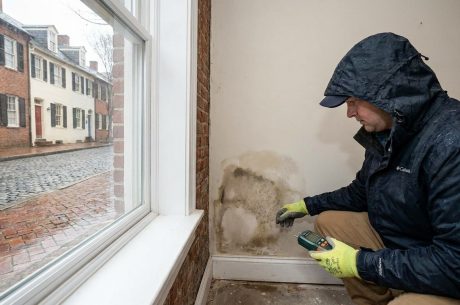 How Can Landlords Handle Mold Problems in Alexandria Rental Properties?