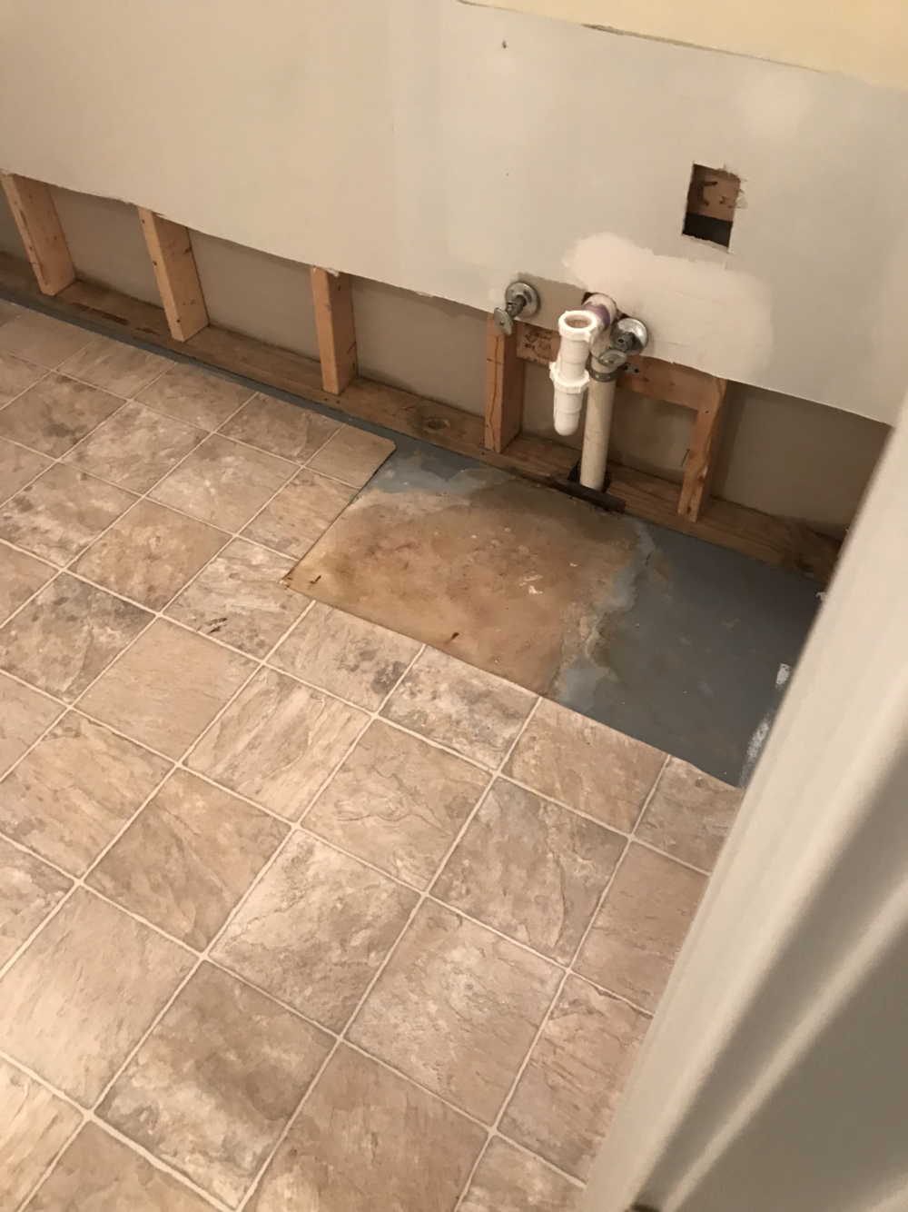 mold remediation result