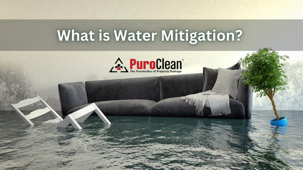 Water Mitigation