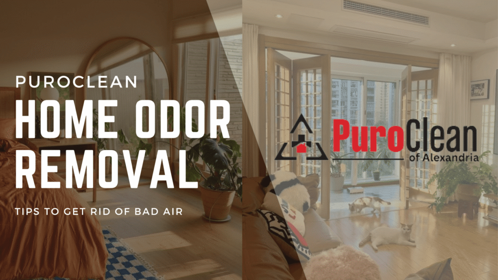 Hack to Remove Bad Smell in Bedrooms: Top 10 Tips