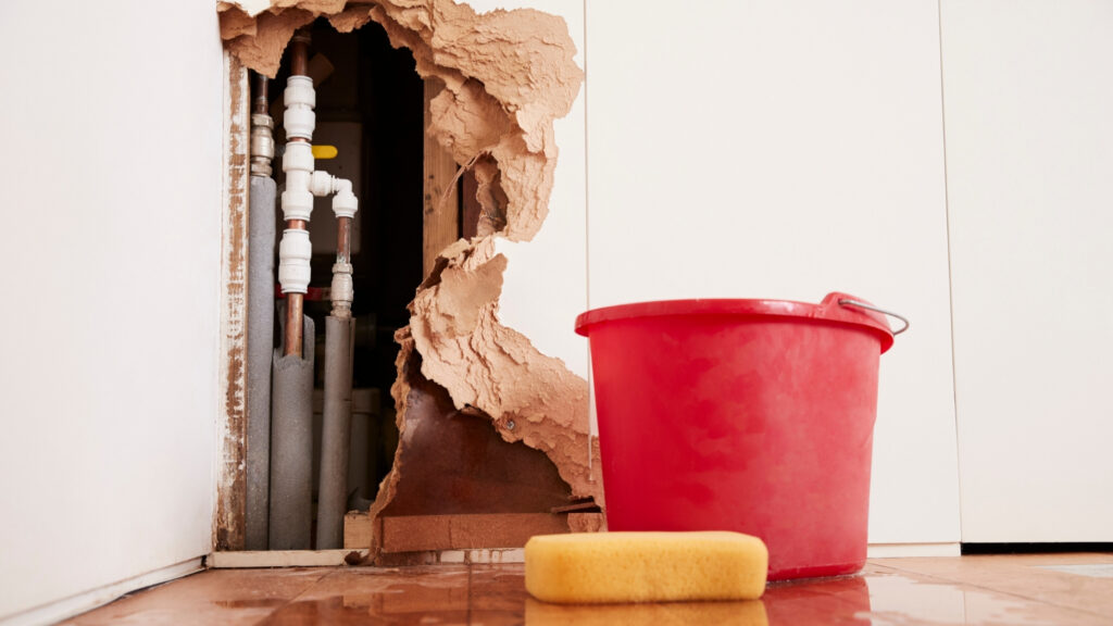 Water Clean in Alexandria