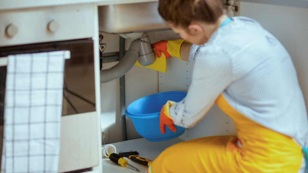 DIY water damage cleanup Alexandria