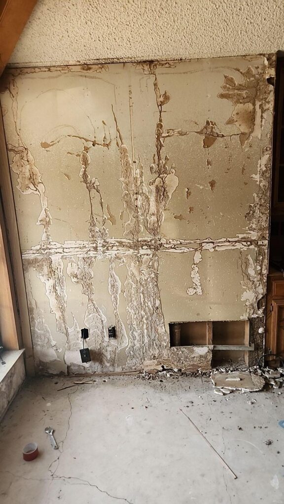 Examples of the severe mold growth that occurred in this Dallas home.