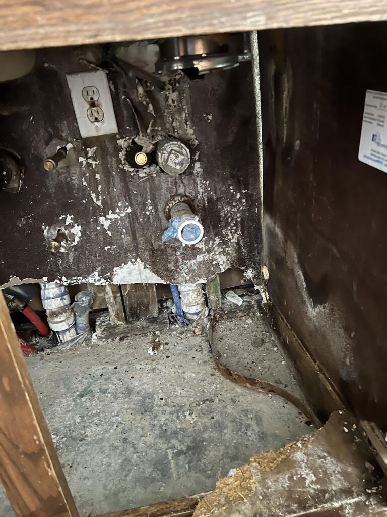 Hidden mold behind the dishwasher.