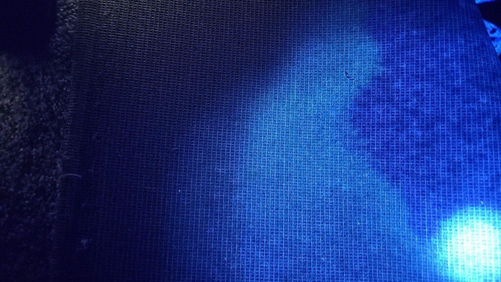 Our UV light confirmed it was a urine stain.
