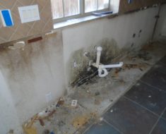 Mold found behind kitchen cabinets.