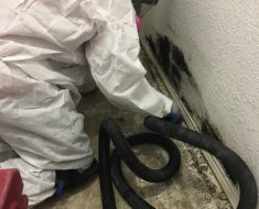 Technician in Personal Protective Equipment (PPE) worn while completing mold remediation.