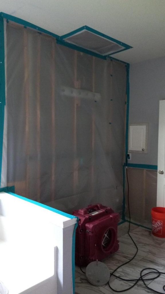 Mold removal in Allen, Texas