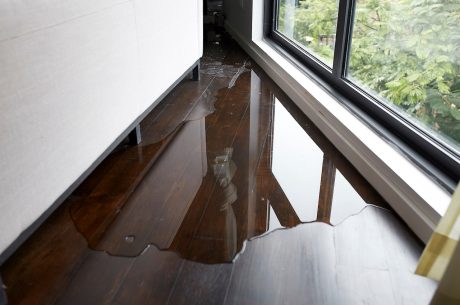 hardwood floor water damage