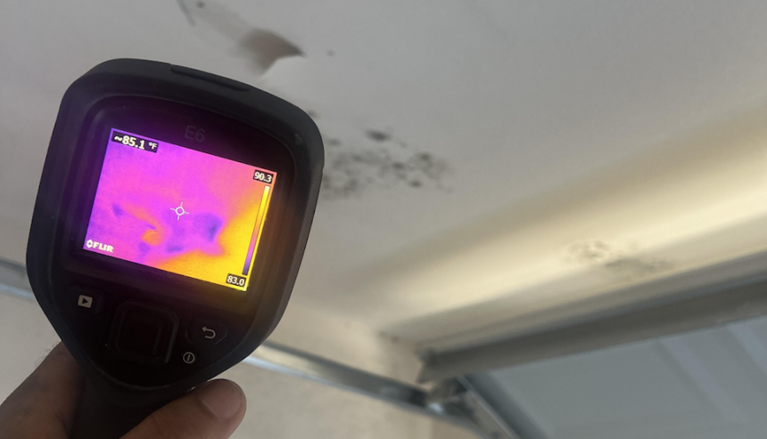 mold in brand new home