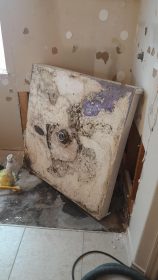 hidden mold problem
