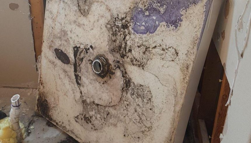 hidden mold problem