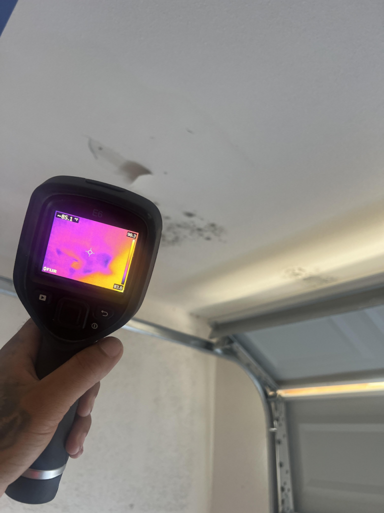 mold in brand new home