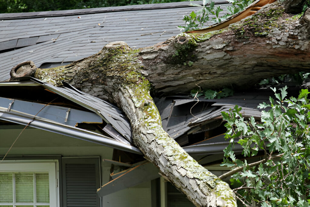 Storm damage in Ann Arbor