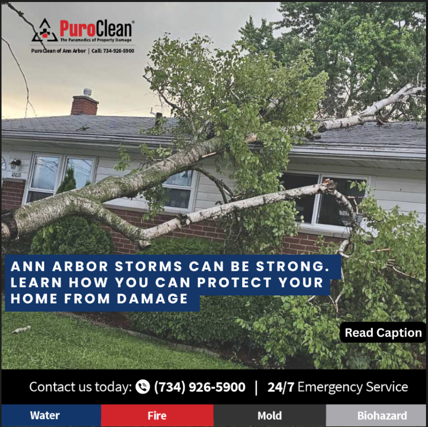 storm damage in Ann Arbor