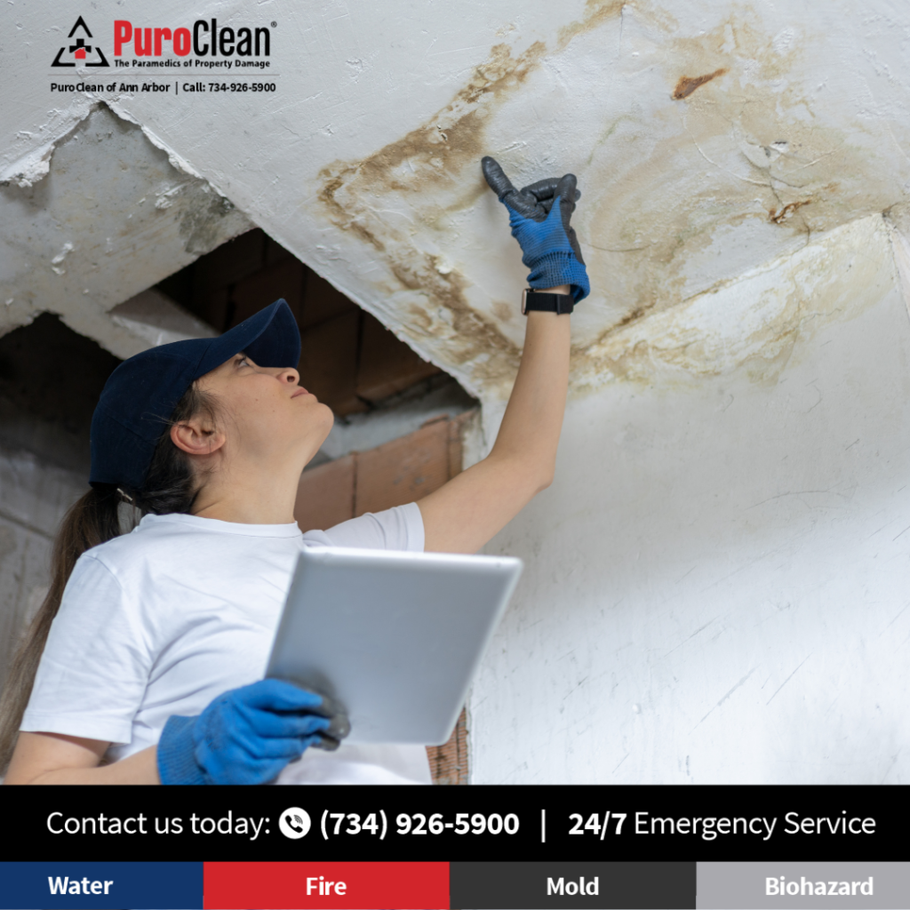 water damage roof repair in ann arbor