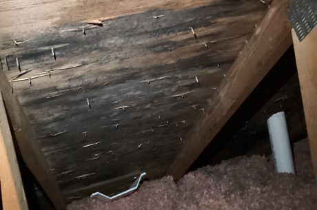 Mold in attic has begun to eat away and rot the boards.
