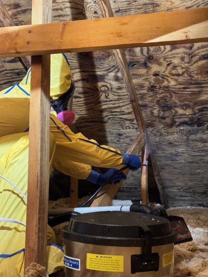 A PuroClean mold remediation technician applies disinfectant to the mold affected area.